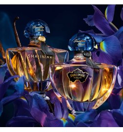 Shalimar Millesime Iris - Eau de Parfum